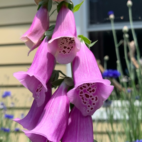 Meet your Posher, Terri lynn - Picture 11 of 16